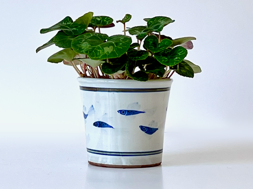 Painted Fish Cache Pots